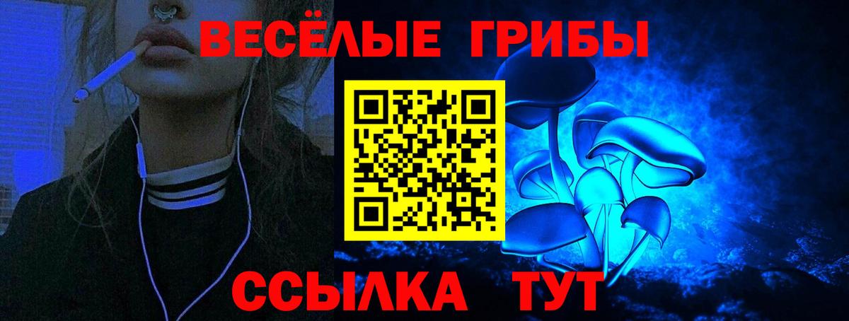 Стрежевой  Галлюциногенные грибы мицелий  Вход с VPN 